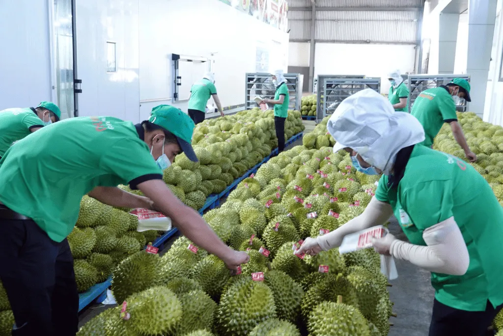Tránh các sai lầm trong thu mua doanh nghiệp